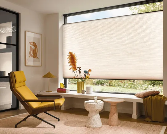 Cortinas Celulares en una sala de estar con estilo contemporáneo.